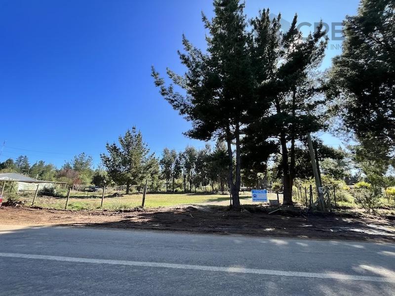 Se Vende Parcela Sector Catillo 9.500 m2, con luz y agua Potable