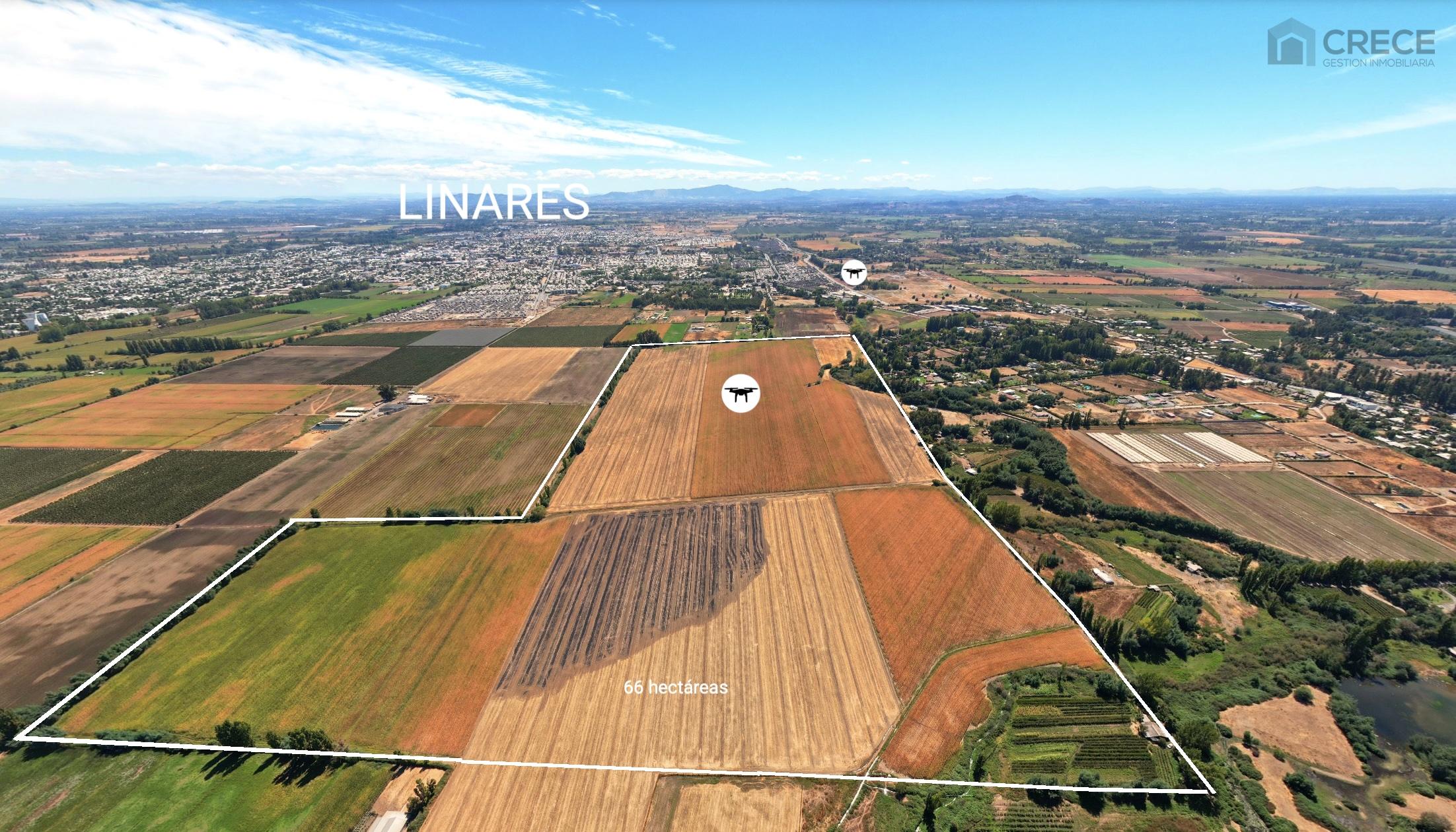 Venta Fundo El Carmen Linares, Región del Maule Chile